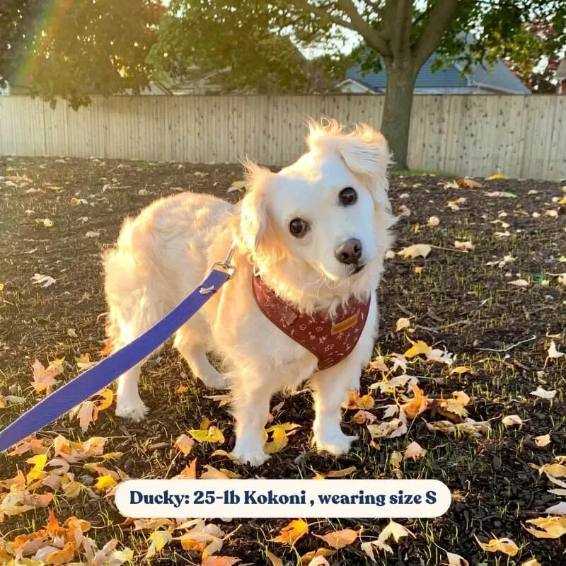 Autumn Leaves Lockable Harness™