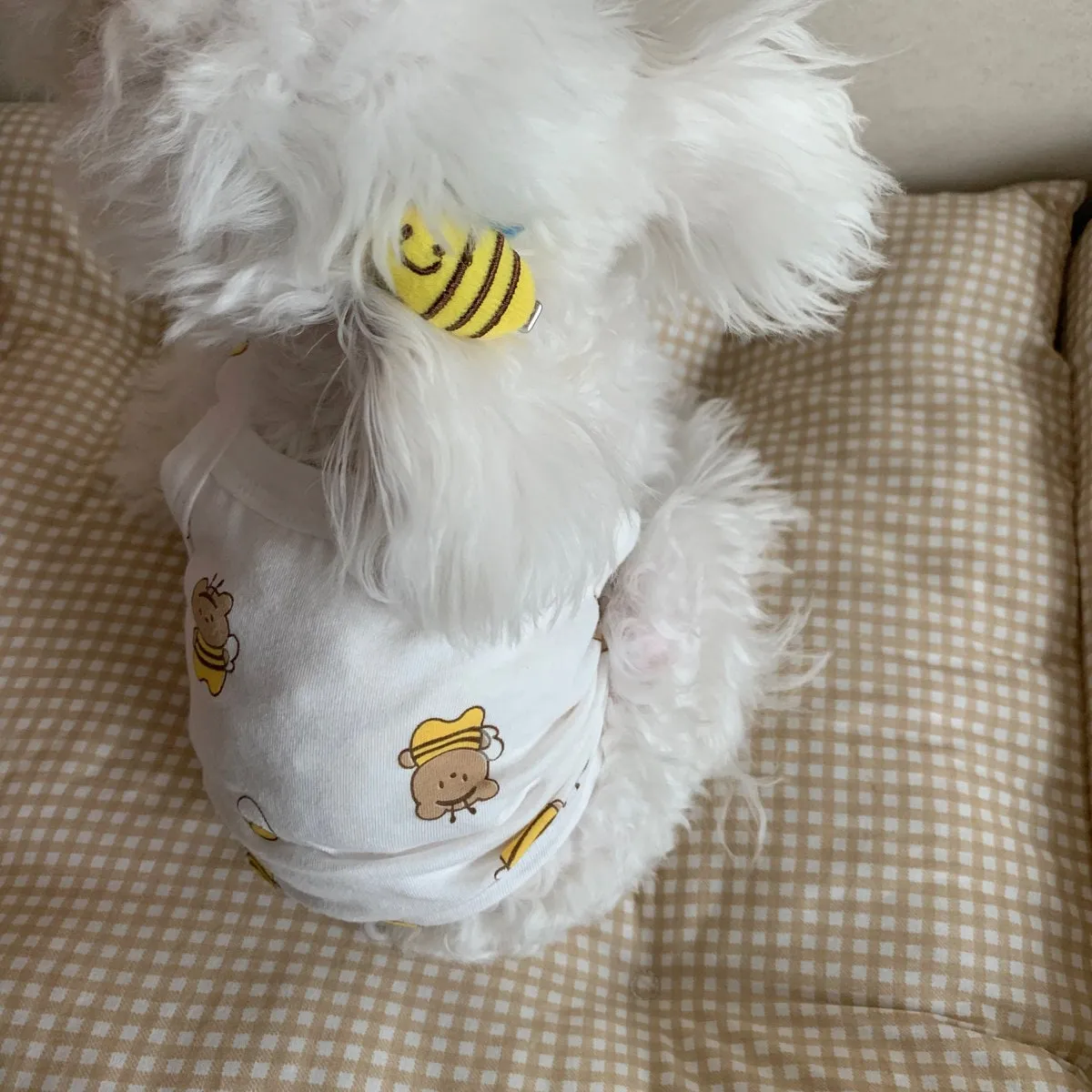 Bee Crop Top