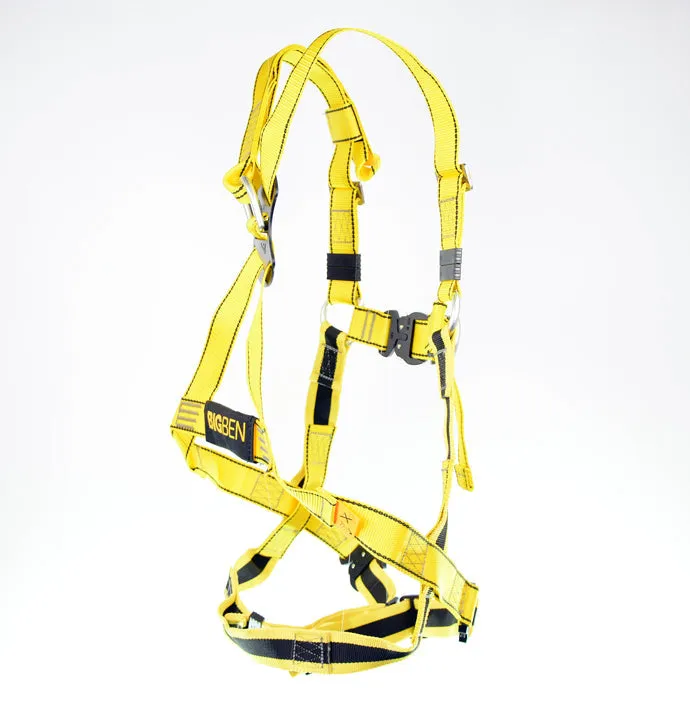 BIGBEN® Deluxe 2 Point Safety Harness - Quick Release