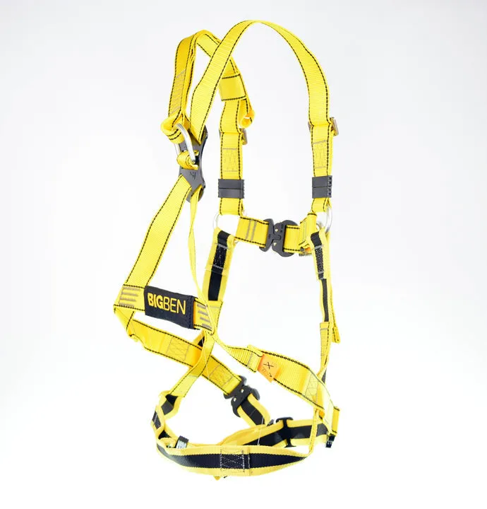 BIGBEN® Deluxe 2 Point Safety Harness - Quick Release
