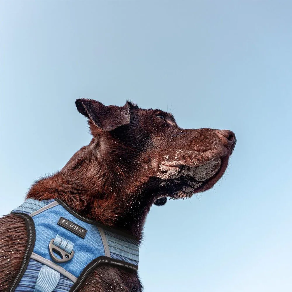 Fauna® Comfort Luxury Pink Dog Harness - S/M/L