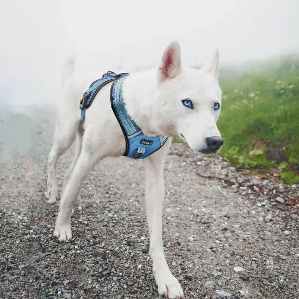 Fauna® Comfort Luxury Pink Dog Harness - S/M/L
