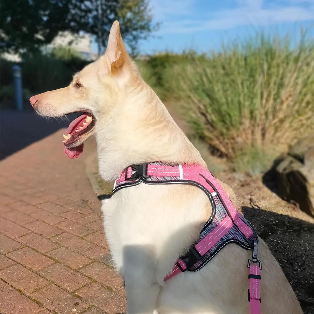 Fauna® Comfort Luxury Pink Dog Harness - S/M/L