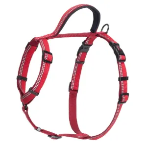HALTI Dog Walking Harness