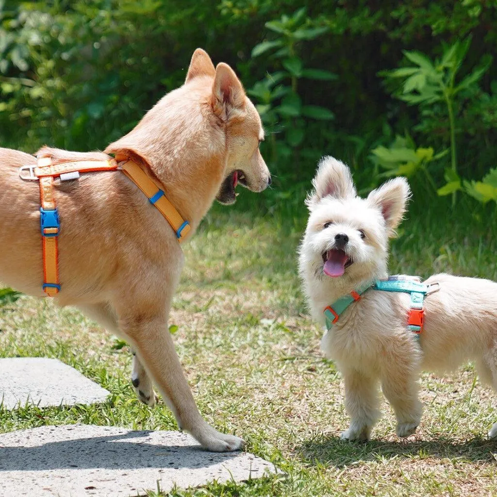 My Fluffy - Fit Band Harness (Aqua Blue)
