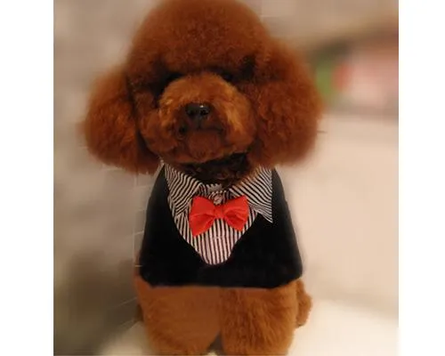 Pet Clothes Wedding Dog Tuxedo Shirts with Red Bow Tie - Black