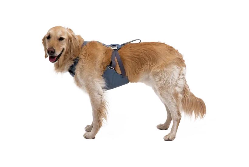 Ruffwear Load Up Dog Car Harness