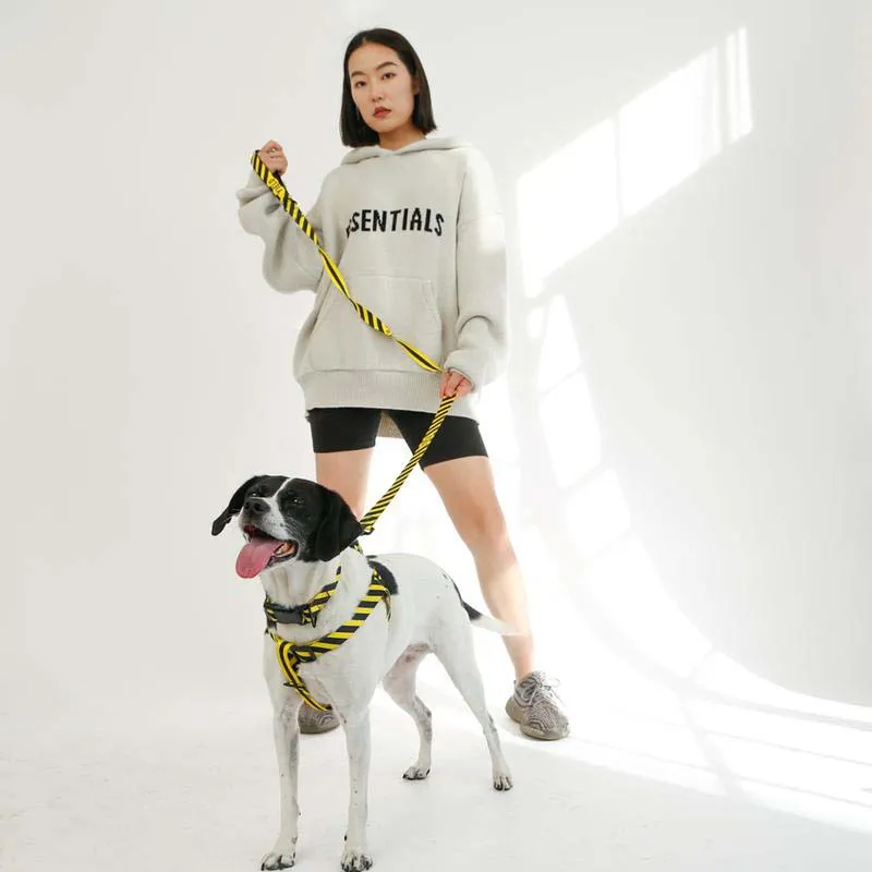 Yield Sport Dog Harness